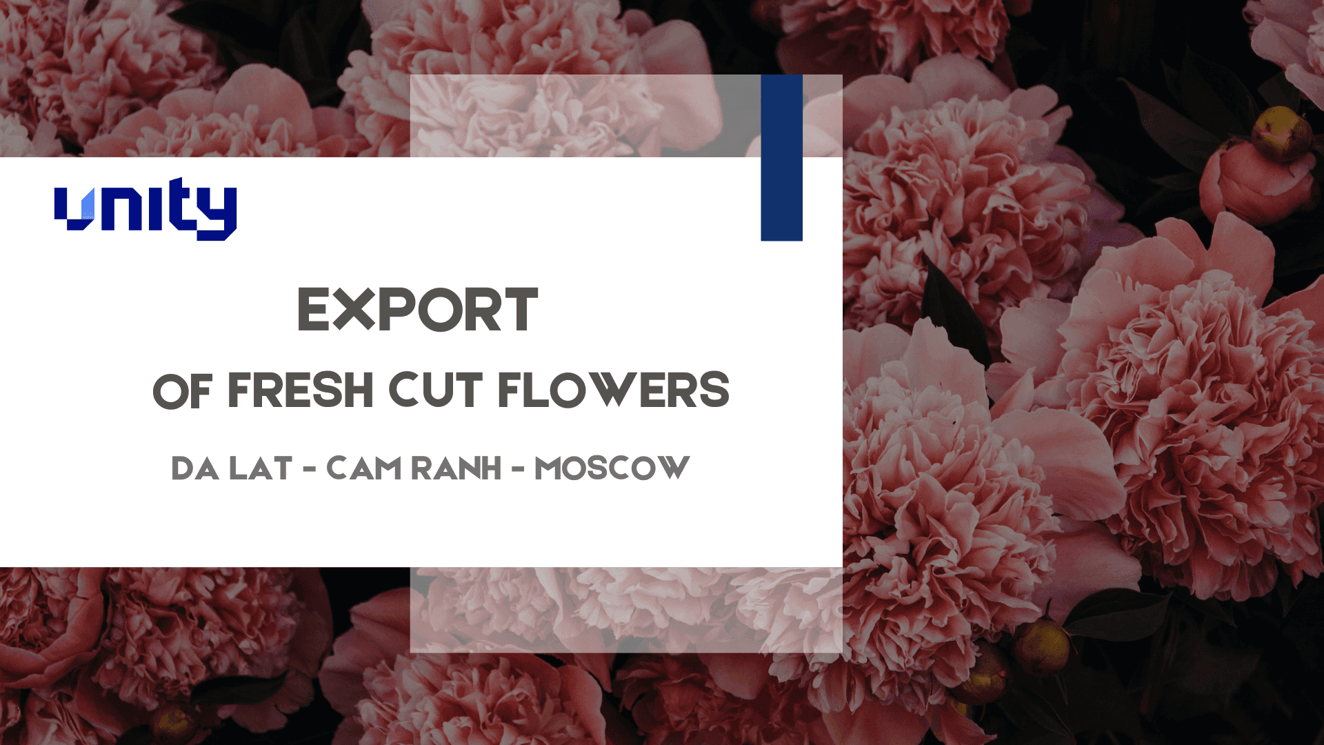 Export of fresh cut flowers